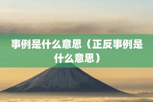 事例是什么意思（正反事例是什么意思）