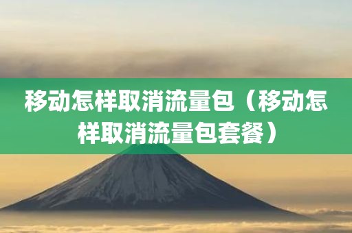 移动怎样取消流量包（移动怎样取消流量包套餐）