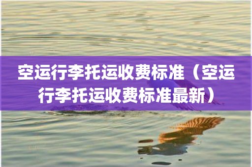 空运行李托运收费标准（空运行李托运收费标准最新）