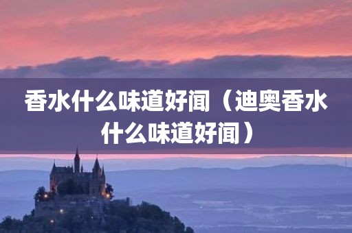 香水什么味道好闻（迪奥香水什么味道好闻）
