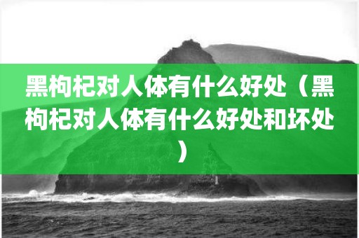 黑枸杞对人体有什么好处（黑枸杞对人体有什么好处和坏处）