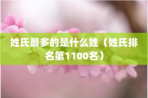 姓氏最多的是什么姓（姓氏排名第1100名）