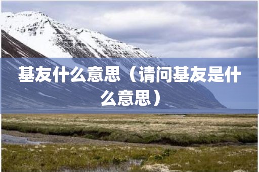 基友什么意思（请问基友是什么意思）