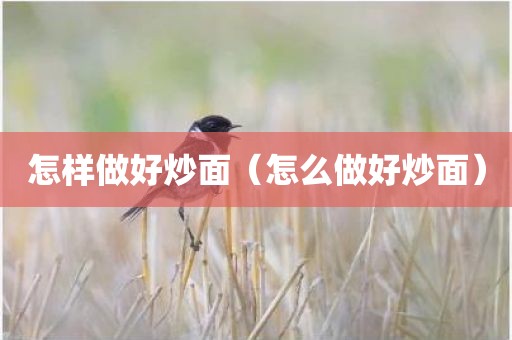 怎样做好炒面（怎么做好炒面）