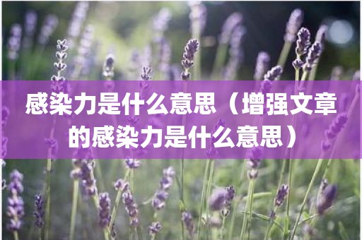 感染力是什么意思（增强文章的感染力是什么意思）