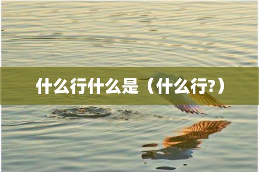 什么行什么是（什么行?）