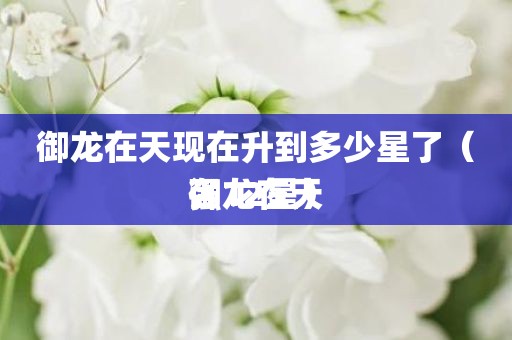御龙在天现在升到多少星了(御龙在天
强12星)