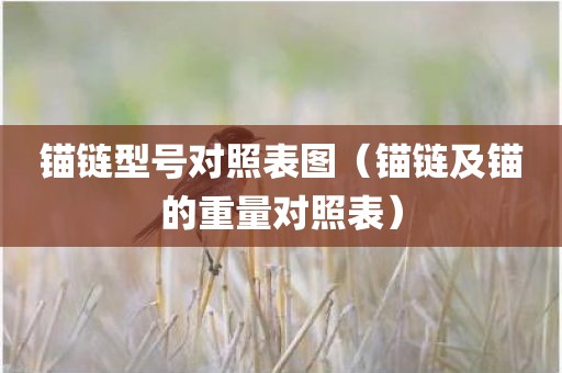 锚链型号对照表图（锚链及锚的重量对照表）