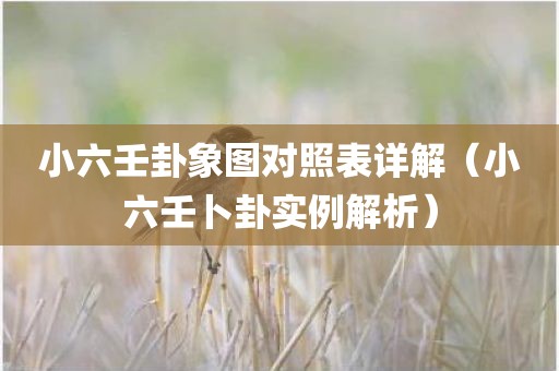 小六壬卦象图对照表详解（小六壬卜卦实例解析）