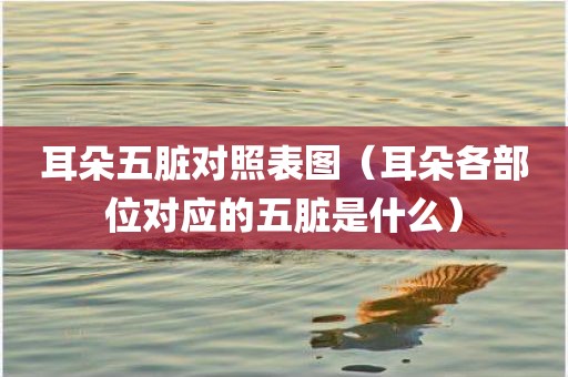 耳朵五脏对照表图（耳朵各部位对应的五脏是什么）