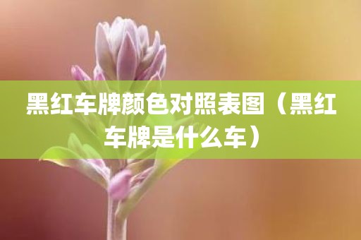 黑红车牌颜色对照表图（黑红车牌是什么车）