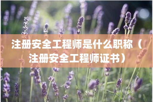 注册安全工程师是什么职称（注册安全工程师证书）