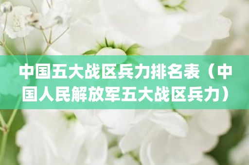 中国五大战区兵力排名表（中国人民解放军五大战区兵力）