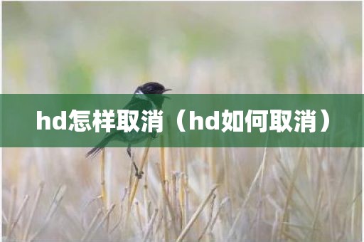 hd怎样取消（hd如何取消）