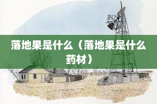 落地果是什么（落地果是什么药材）