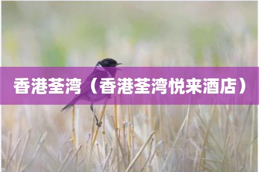 香港荃湾（香港荃湾悦来酒店）