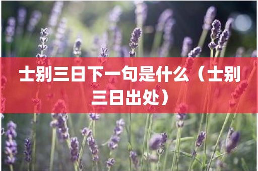 士别三日下一句是什么（士别三日出处）