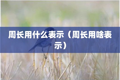 周长用什么表示（周长用啥表示）