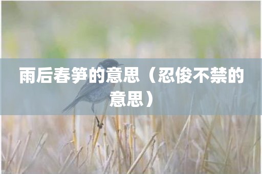 雨后春笋的意思（忍俊不禁的意思）