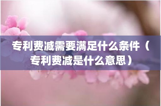 专利费减需要满足什么条件（专利费减是什么意思）