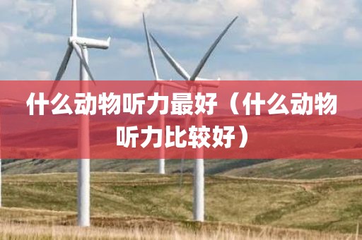 什么动物听力最好（什么动物听力比较好）
