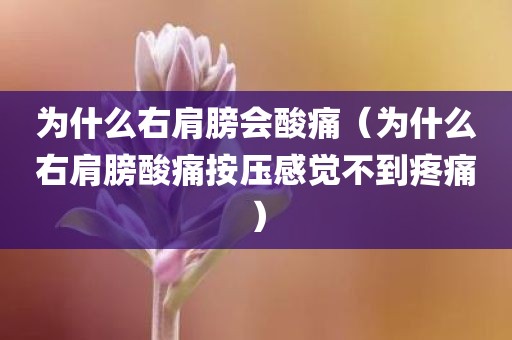 为什么右肩膀会酸痛（为什么右肩膀酸痛按压感觉不到疼痛）