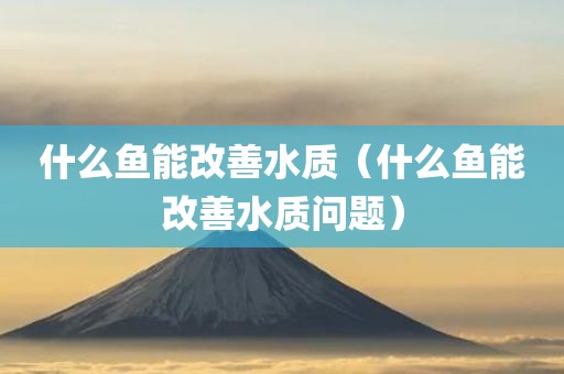 什么鱼能改善水质（什么鱼能改善水质问题）