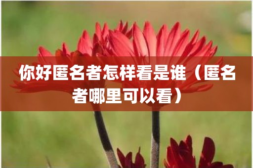 你好匿名者怎样看是谁（匿名者哪里可以看）