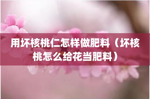 用坏核桃仁怎样做肥料（坏核桃怎么给花当肥料）