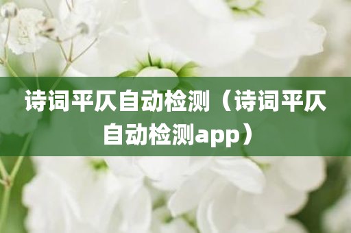 诗词平仄自动检测（诗词平仄自动检测app）