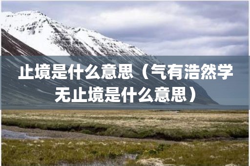 止境是什么意思(气有浩然学无止境是什么意思)