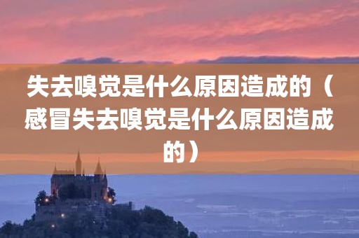 失去嗅觉是什么原因造成的（感冒失去嗅觉是什么原因造成的）