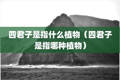 四君子是指什么植物（四君子是指哪种植物）