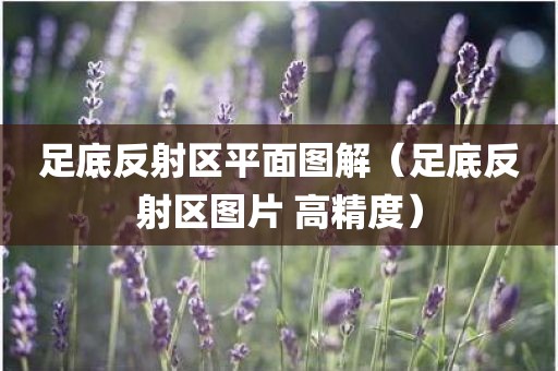 足底反射区平面图解（足底反射区图片 高精度）