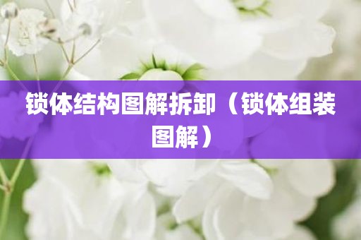 锁体结构图解拆卸（锁体组装图解）