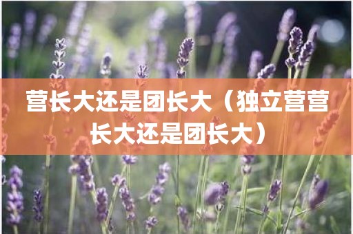 营长大还是团长大（独立营营长大还是团长大）