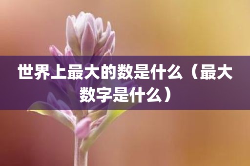 世界上最大的数是什么（最大数字是什么）