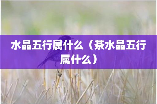 水晶五行属什么（茶水晶五行属什么）
