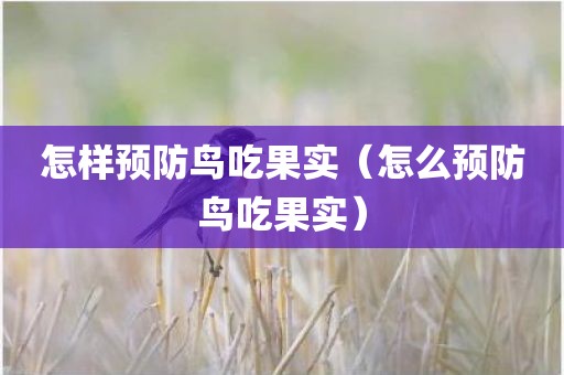 怎样预防鸟吃果实（怎么预防鸟吃果实）