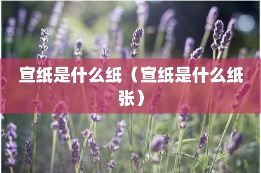 宣纸是什么纸（宣纸是什么纸张）