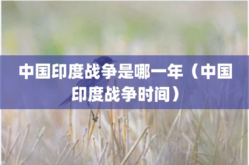 中国印度战争是哪一年（中国印度战争时间）