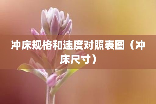 冲床规格和速度对照表图（冲床尺寸）