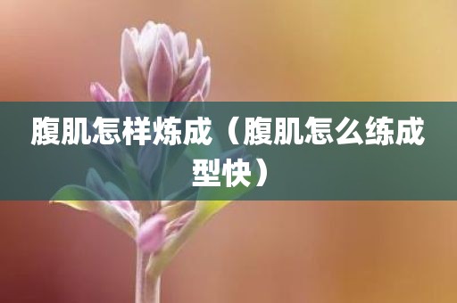 腹肌怎样炼成（腹肌怎么练成型快）