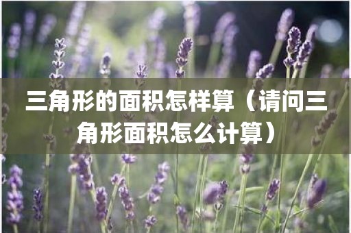 三角形的面积怎样算（请问三角形面积怎么计算）