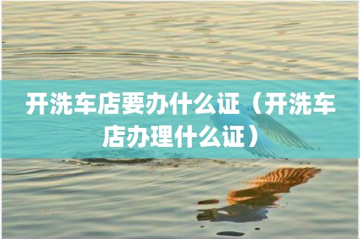 开洗车店要办什么证（开洗车店办理什么证）