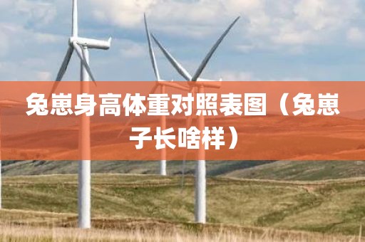 兔崽身高体重对照表图（兔崽子长啥样）