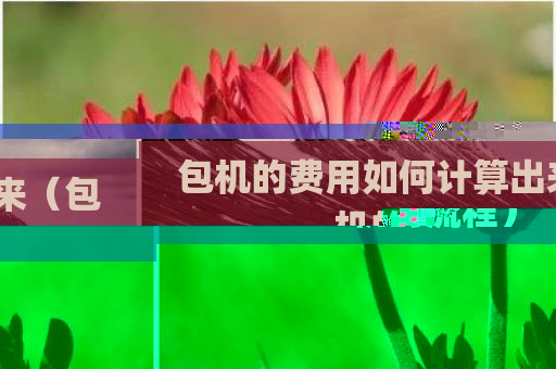 包机的费用如何计算出来（包机的流程）