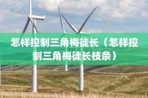 怎样控制三角梅徒长（怎样控制三角梅徒长枝条）