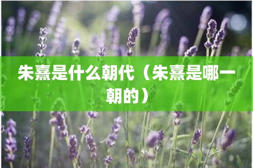 朱熹是什么朝代（朱熹是哪一朝的）