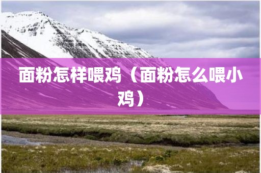 面粉怎样喂鸡（面粉怎么喂小鸡）